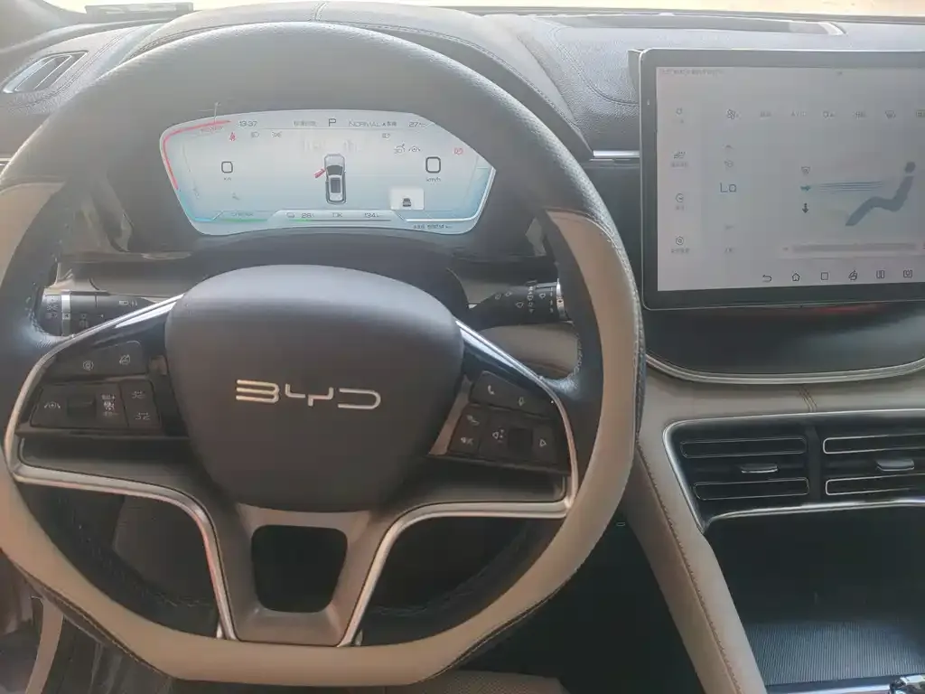 BYD PLUS New Energy — фото 4