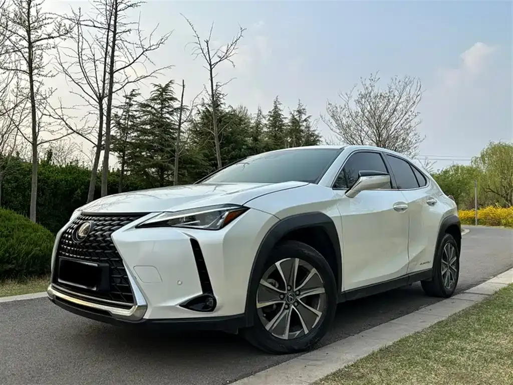 Lexus UX New Energy — фото 10