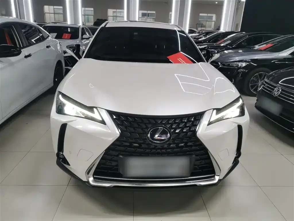 Lexus UX New Energy — фото 7
