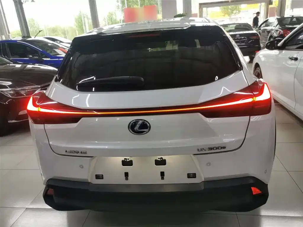 Lexus UX New Energy — фото 5
