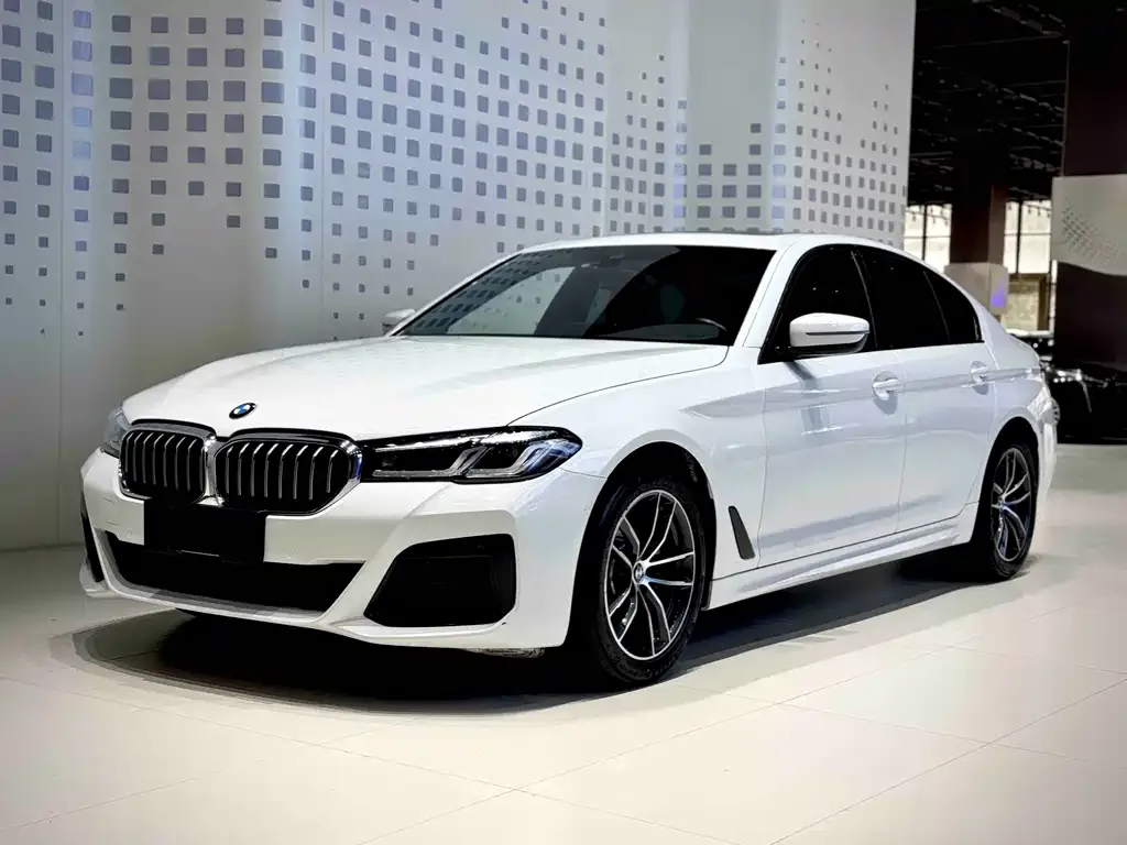 BMW 5 Series (Import) — фото 1
