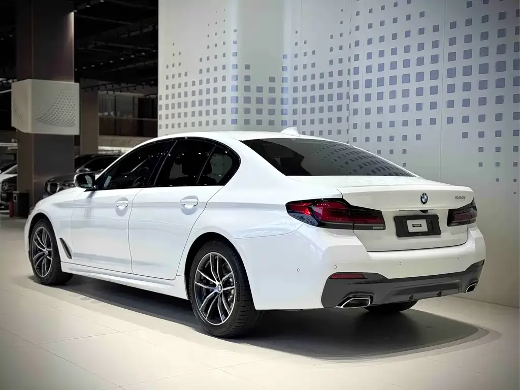 BMW 5 Series (Import) — фото 6