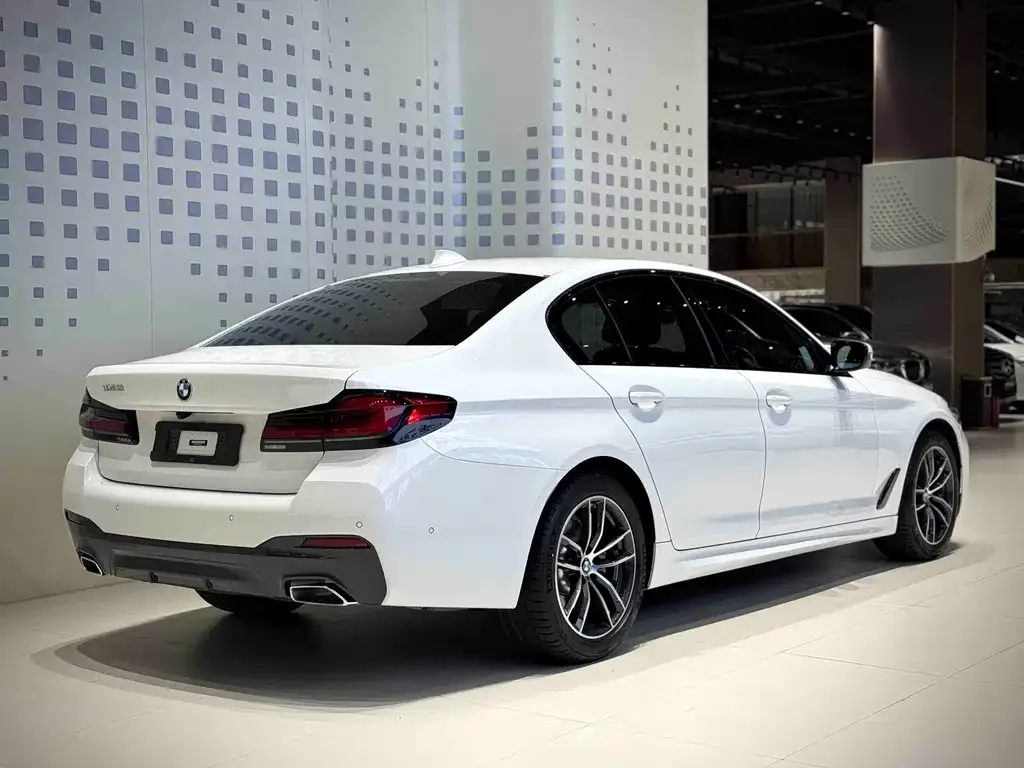 BMW 5 Series (Import) — фото 8