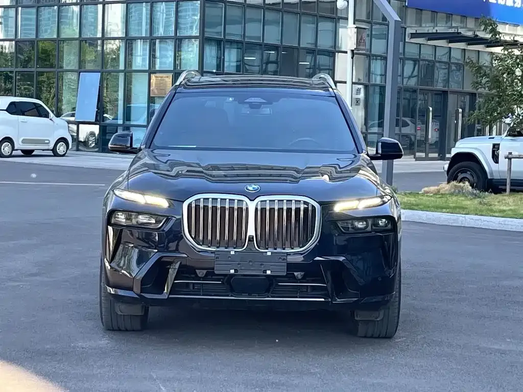 BMW X7 — фото 4