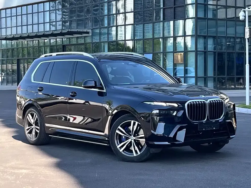 BMW X7 — фото 3