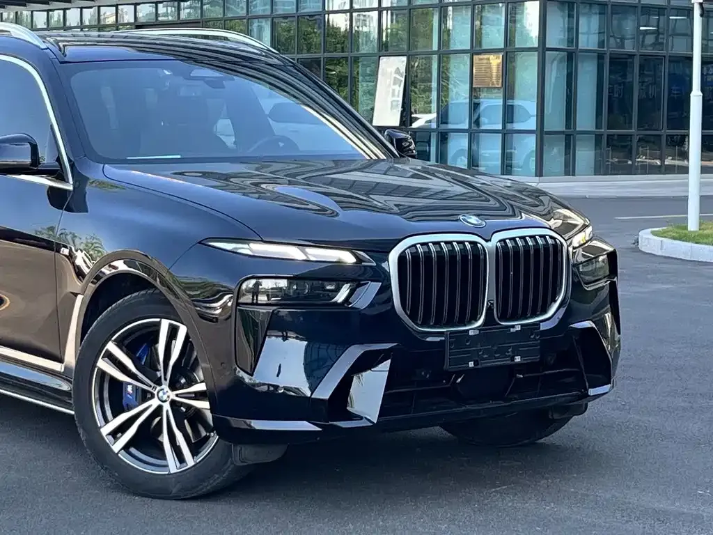 BMW X7 — фото 9