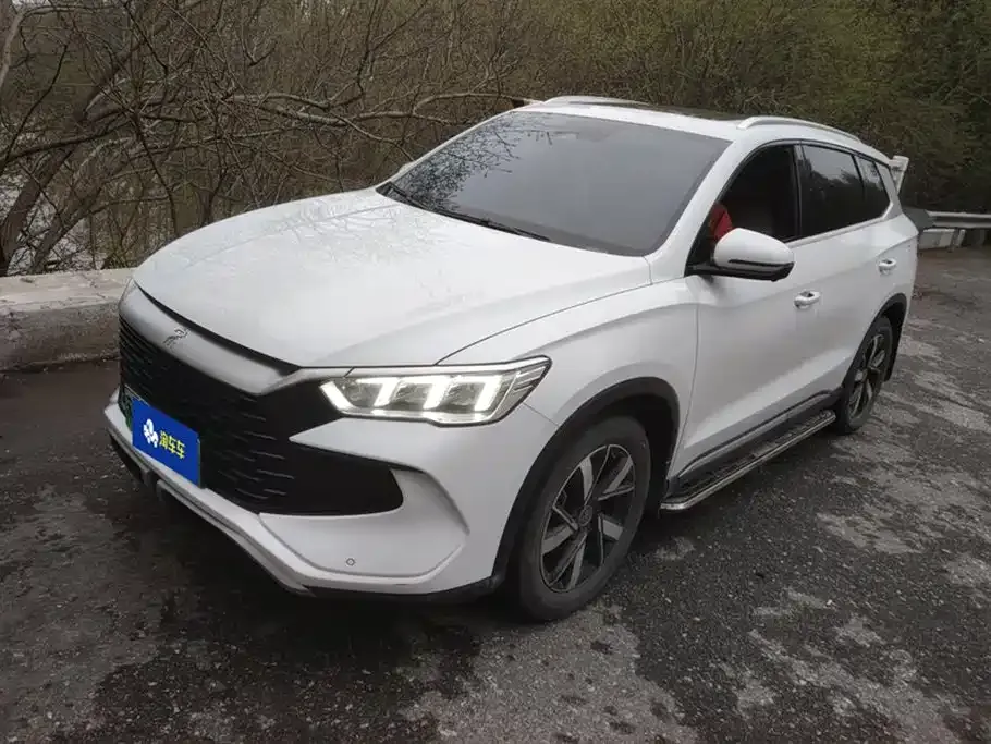 BYD Pro New Energy — фото 1