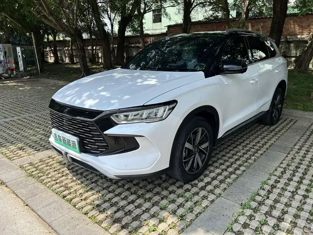 BYD Pro New Energy — фото 1