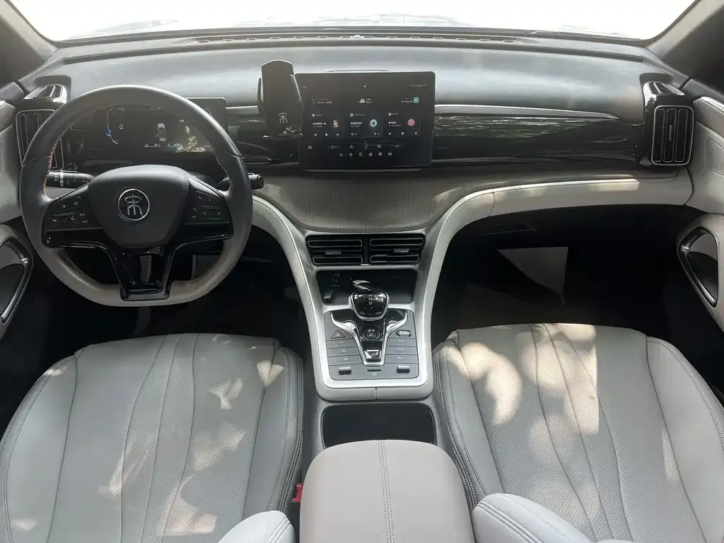 BYD Pro New Energy — фото 3