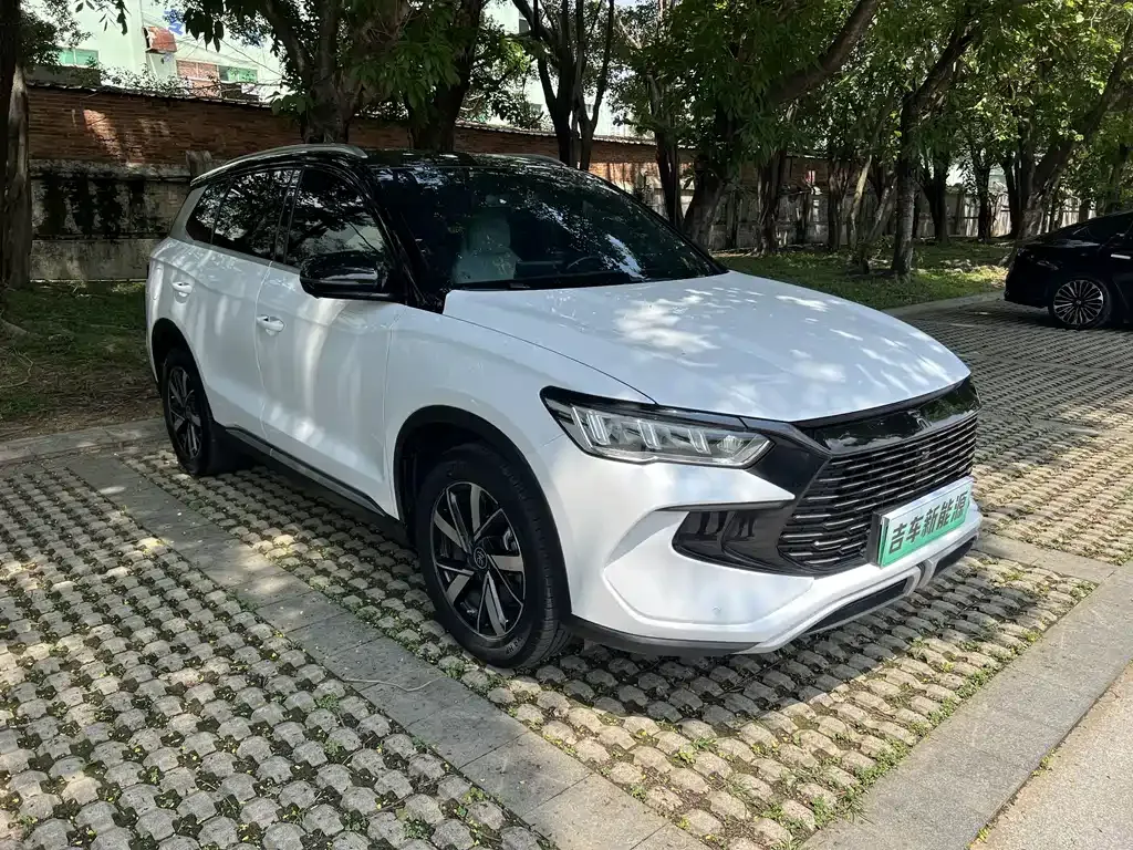 BYD Pro New Energy — фото 6