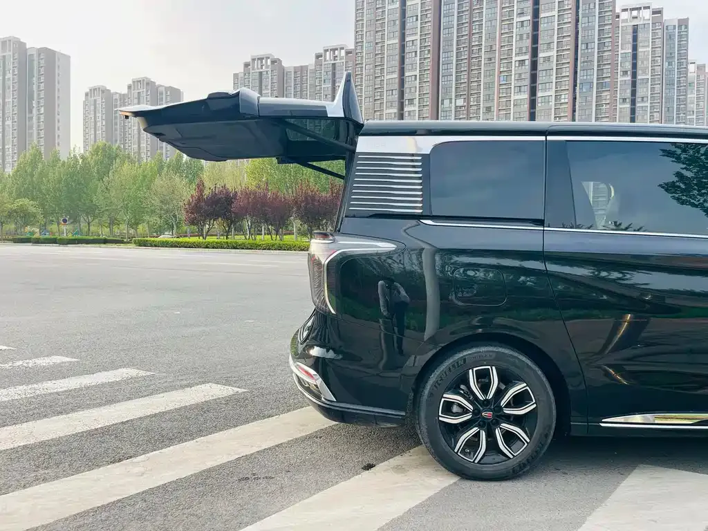 Hongqi HQ9 — фото 5