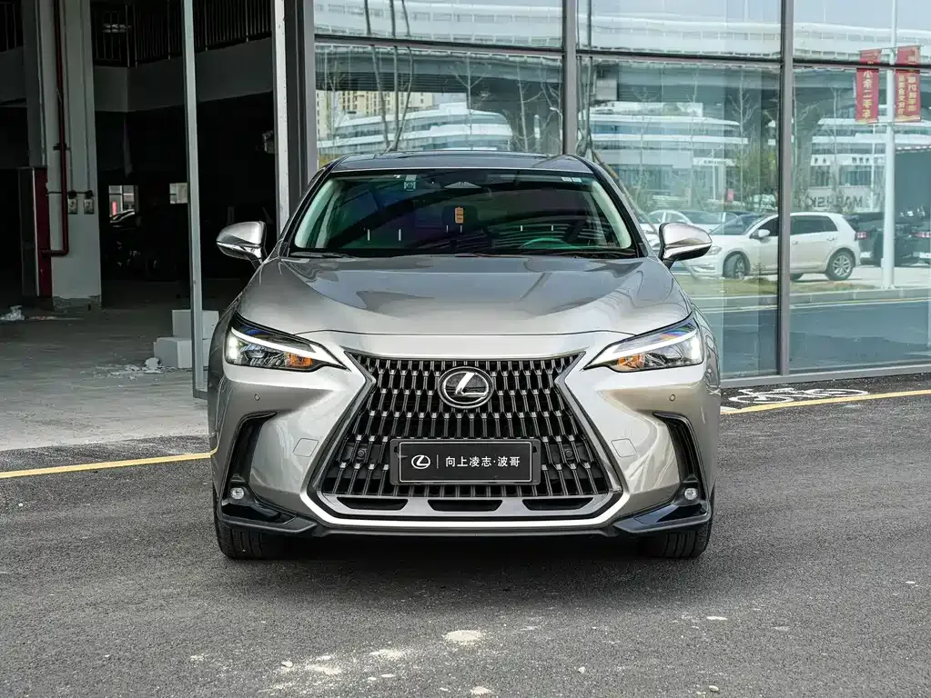 Lexus NX New Energy — фото 10