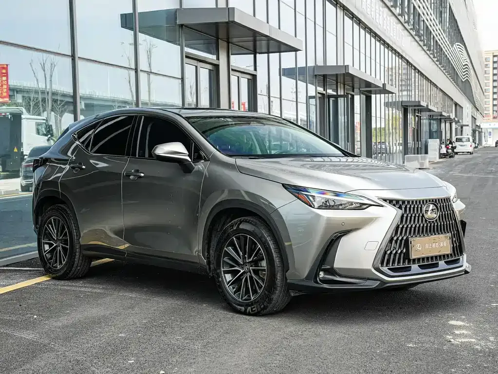 Lexus NX New Energy — фото 8