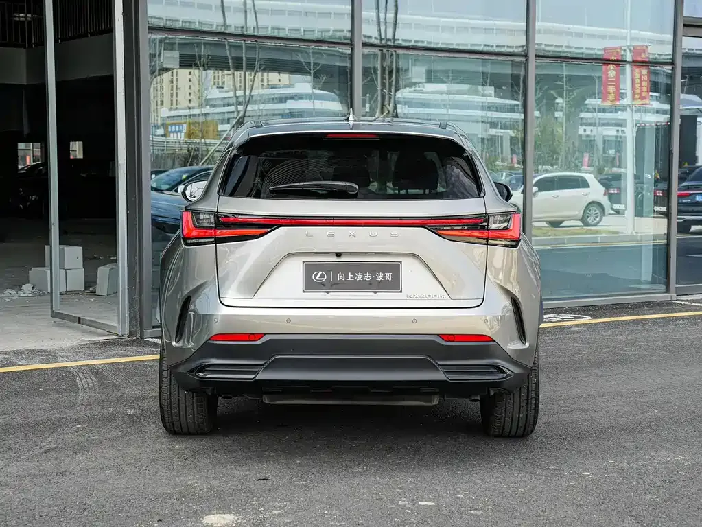 Lexus NX New Energy — фото 7