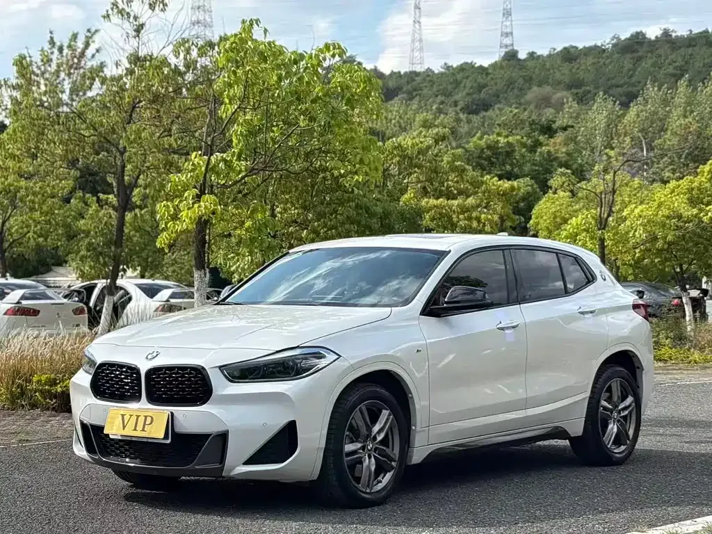 BMW X2 — фото 1