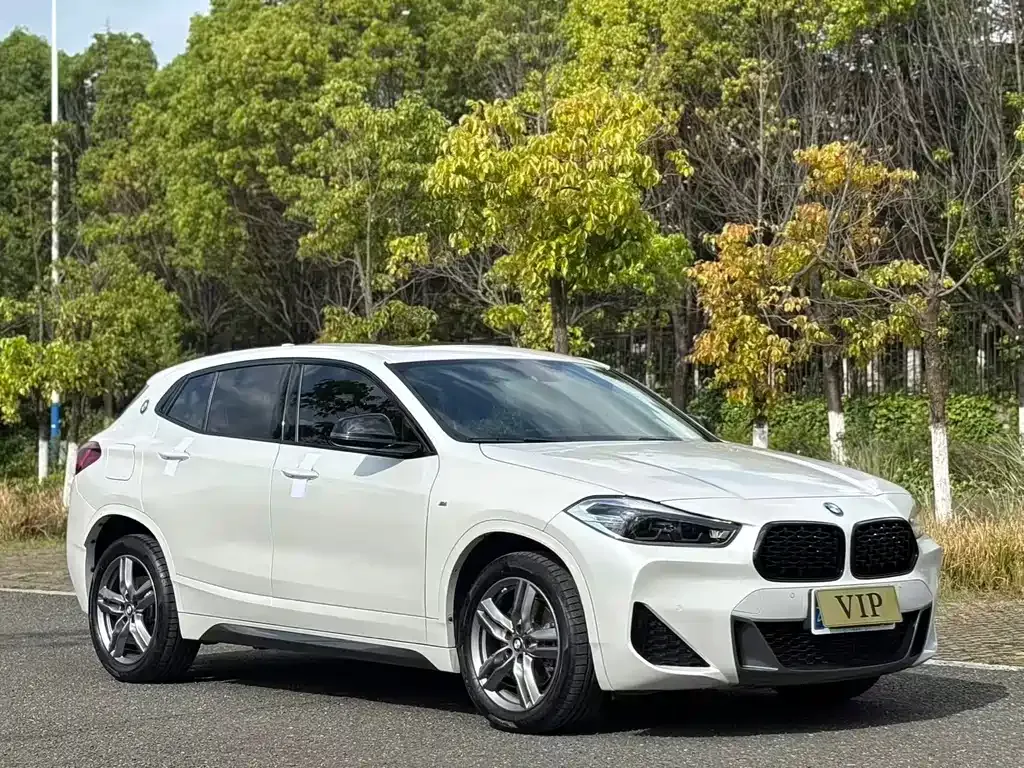 BMW X2 — фото 8