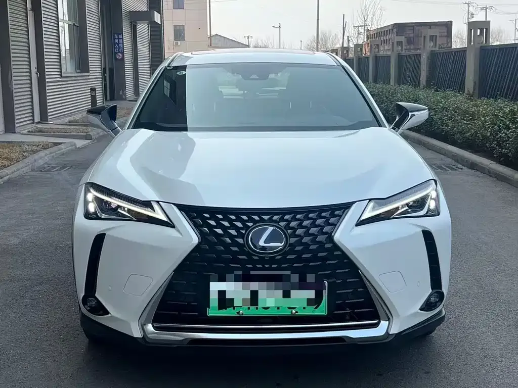 Lexus UX New Energy — фото 5