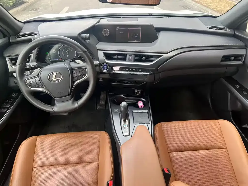 Lexus UX New Energy — фото 7