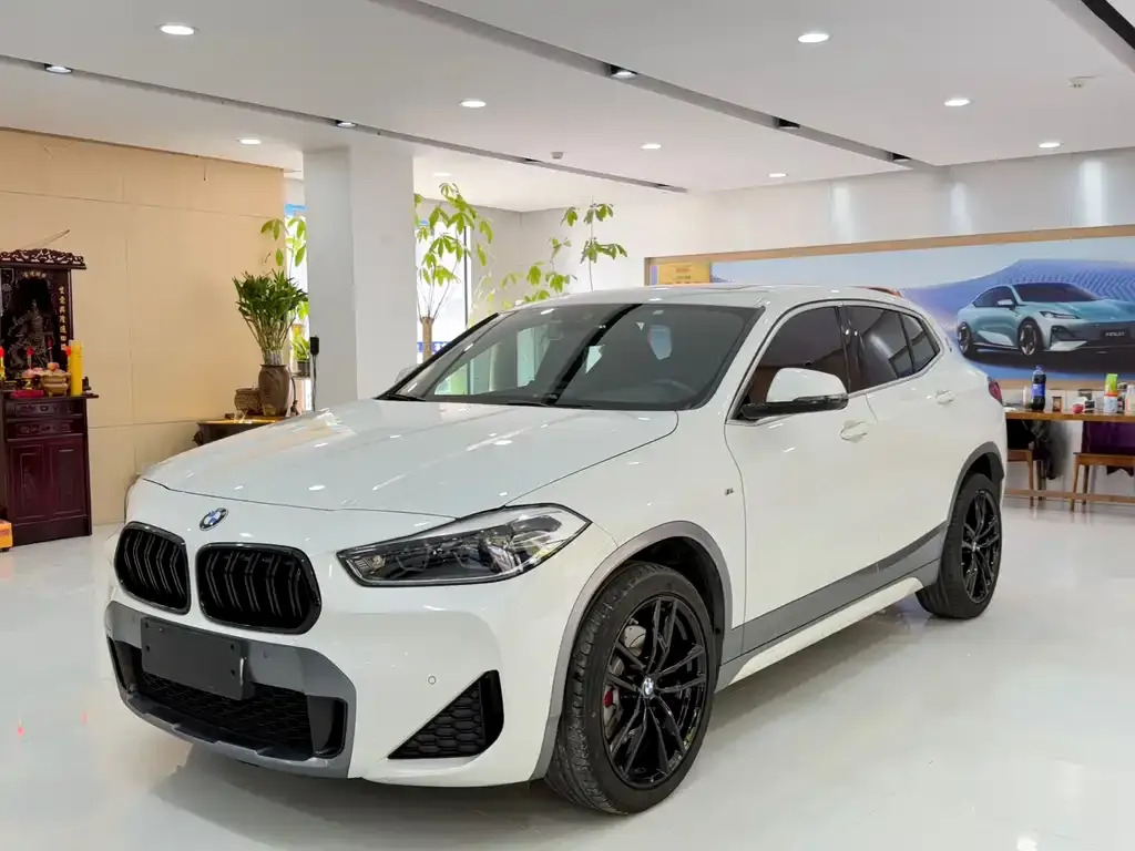 BMW X2 — фото 1