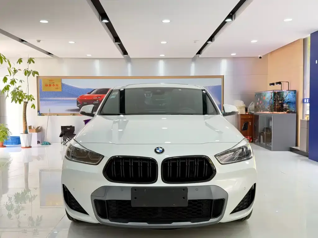 BMW X2 — фото 10