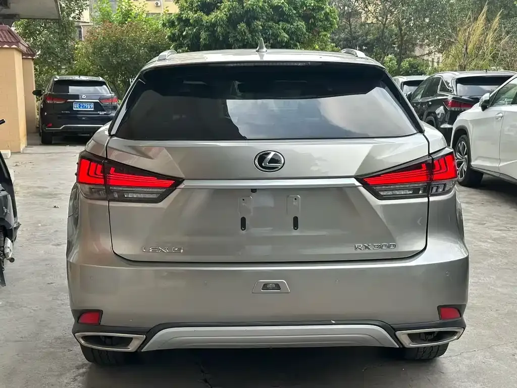 Lexus RX — фото 5
