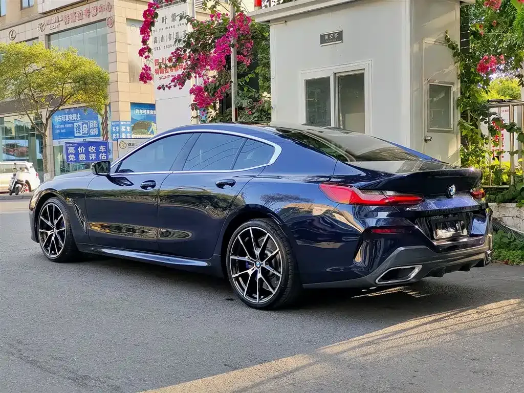 BMW 8 Series — фото 8