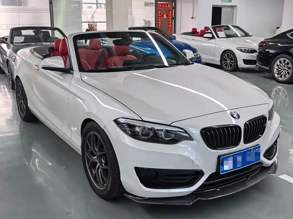 BMW 2 Series (Import) — фото 10