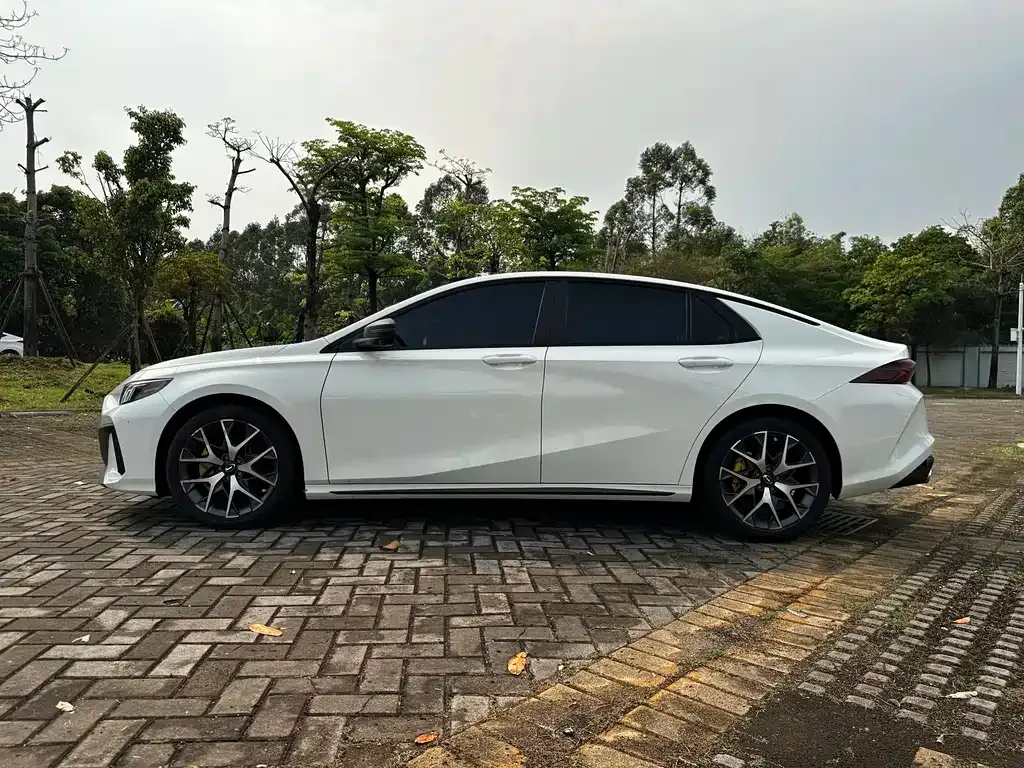 GAC Motor Shadow Leopard — фото 9