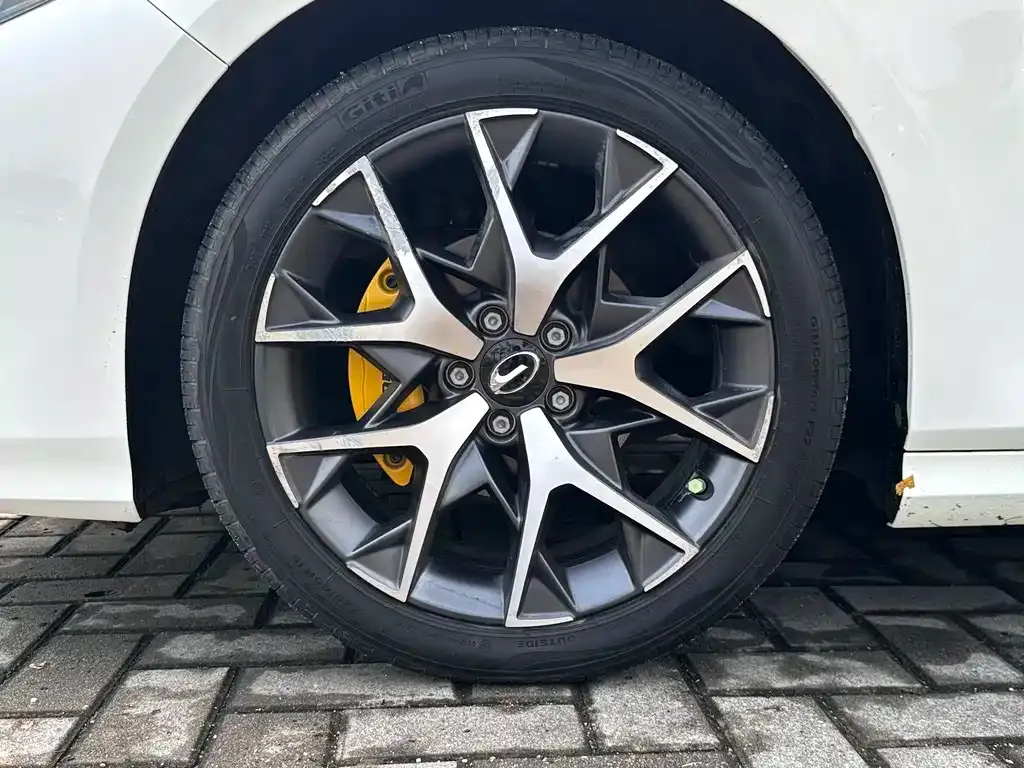 GAC Motor Shadow Leopard — фото 7