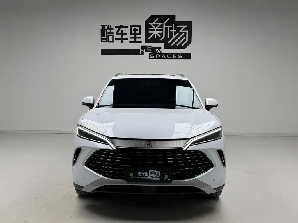 BYD L DM-i — фото 8