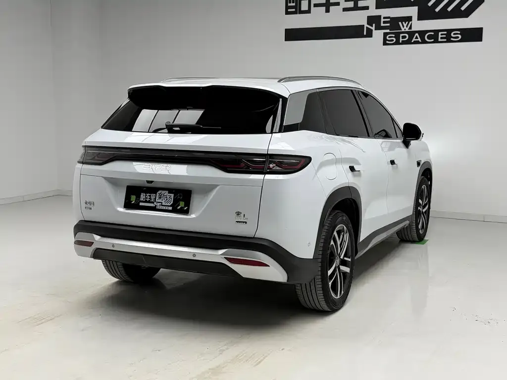 BYD L DM-i — фото 6