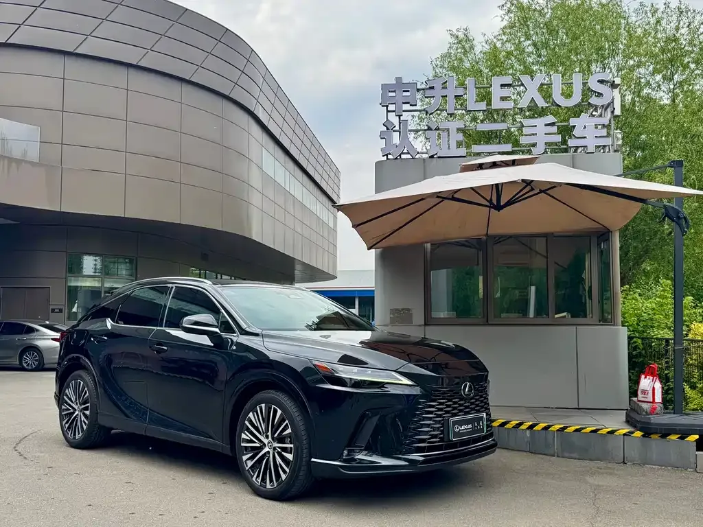 Lexus RX New Energy — фото 1