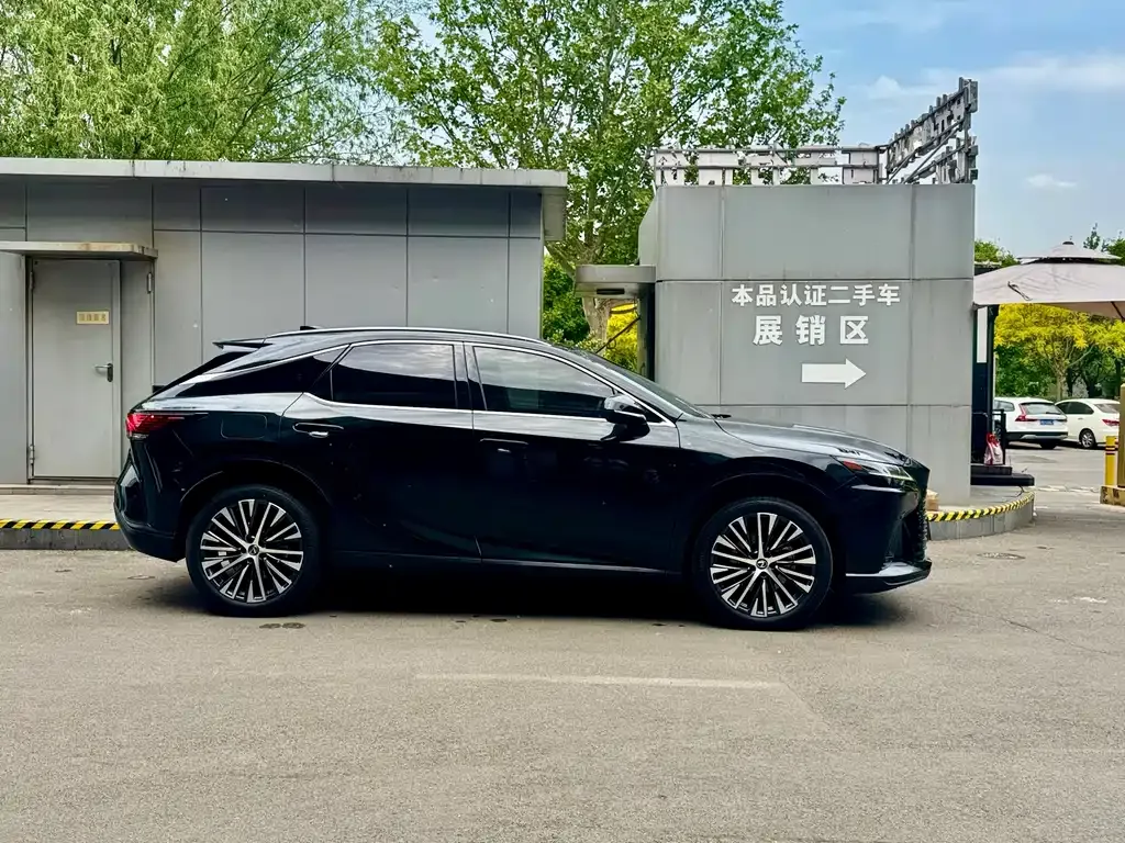 Lexus RX New Energy — фото 10