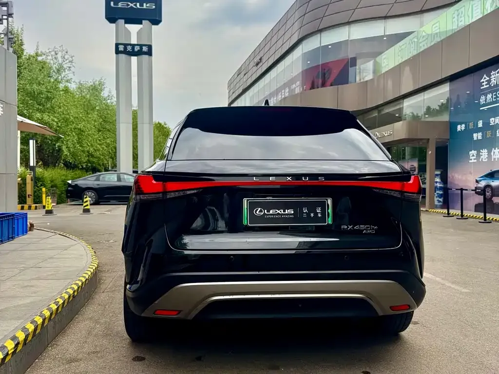 Lexus RX New Energy — фото 8