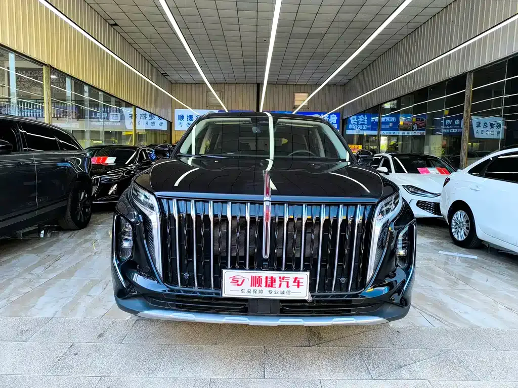 Hongqi HS7 PHEV — фото 5