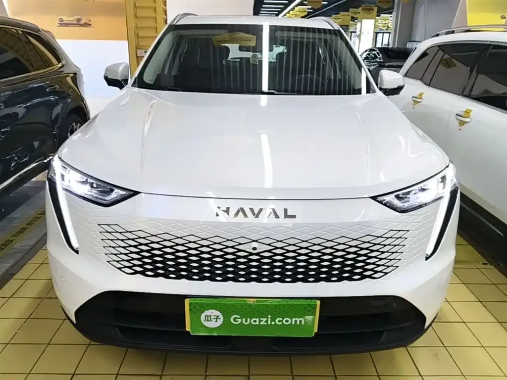 Haval Xiaolong MAX — фото 8