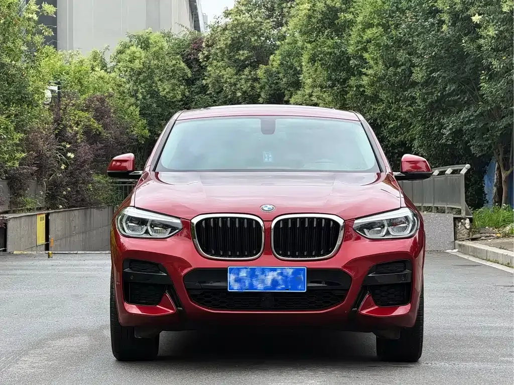 BMW X4 — фото 5