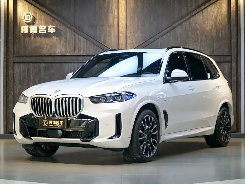 BMW X5 — фото 1