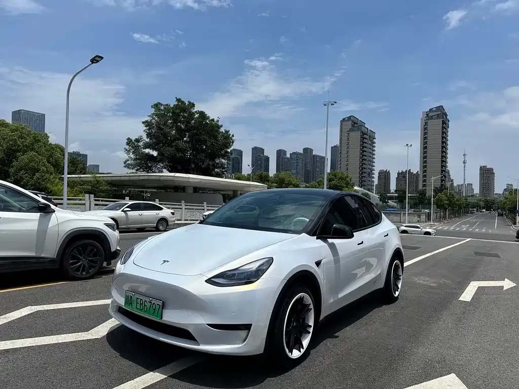 Tesla Model Y — фото 1