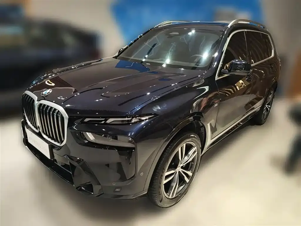 BMW X7 — фото 10