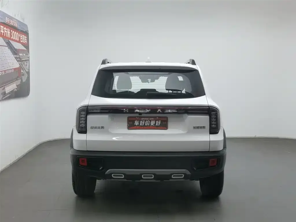 Haval Big Dog — фото 3