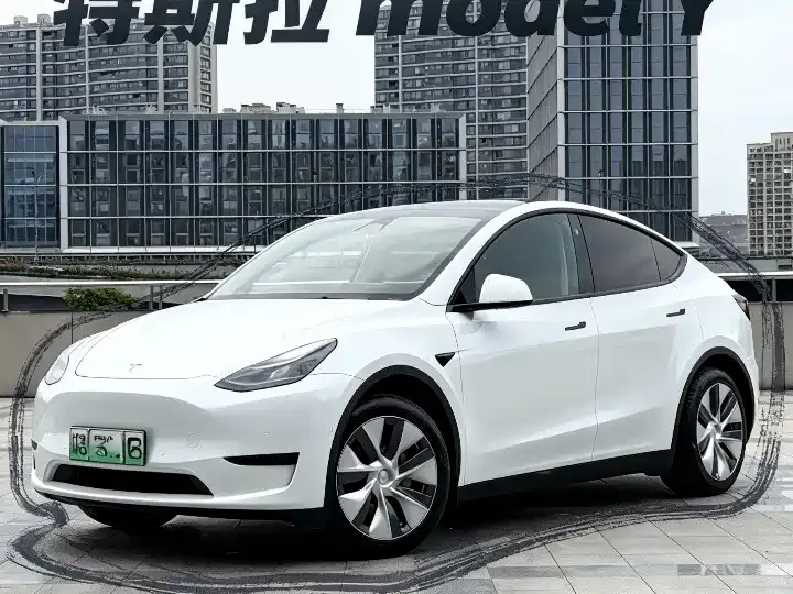 Tesla Model Y — фото 1
