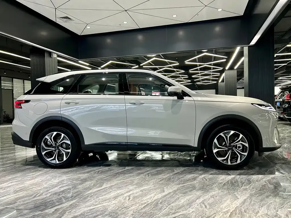 Haval Xiaolong MAX — фото 6