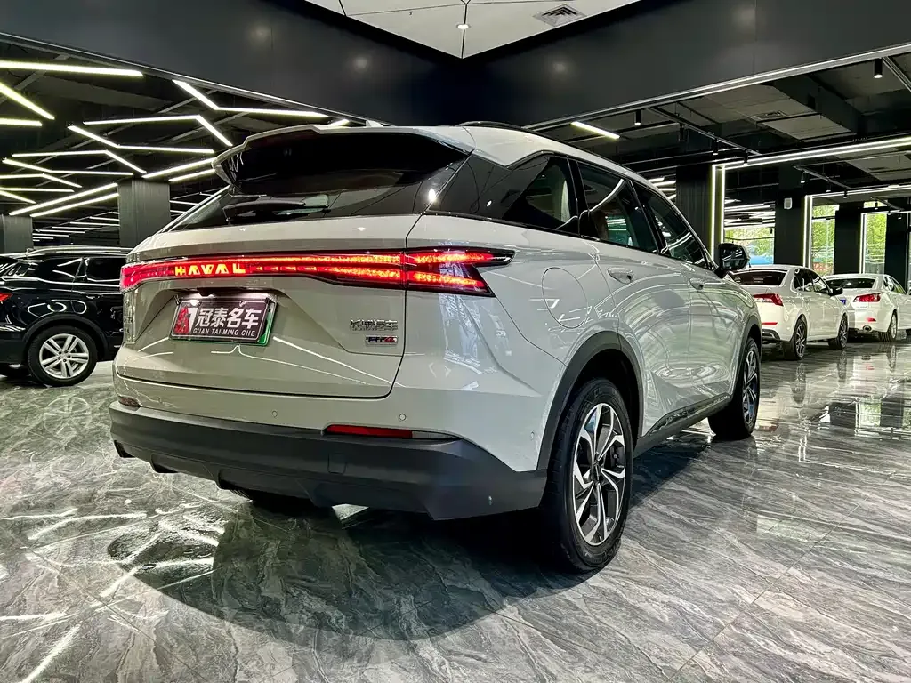 Haval Xiaolong MAX — фото 7