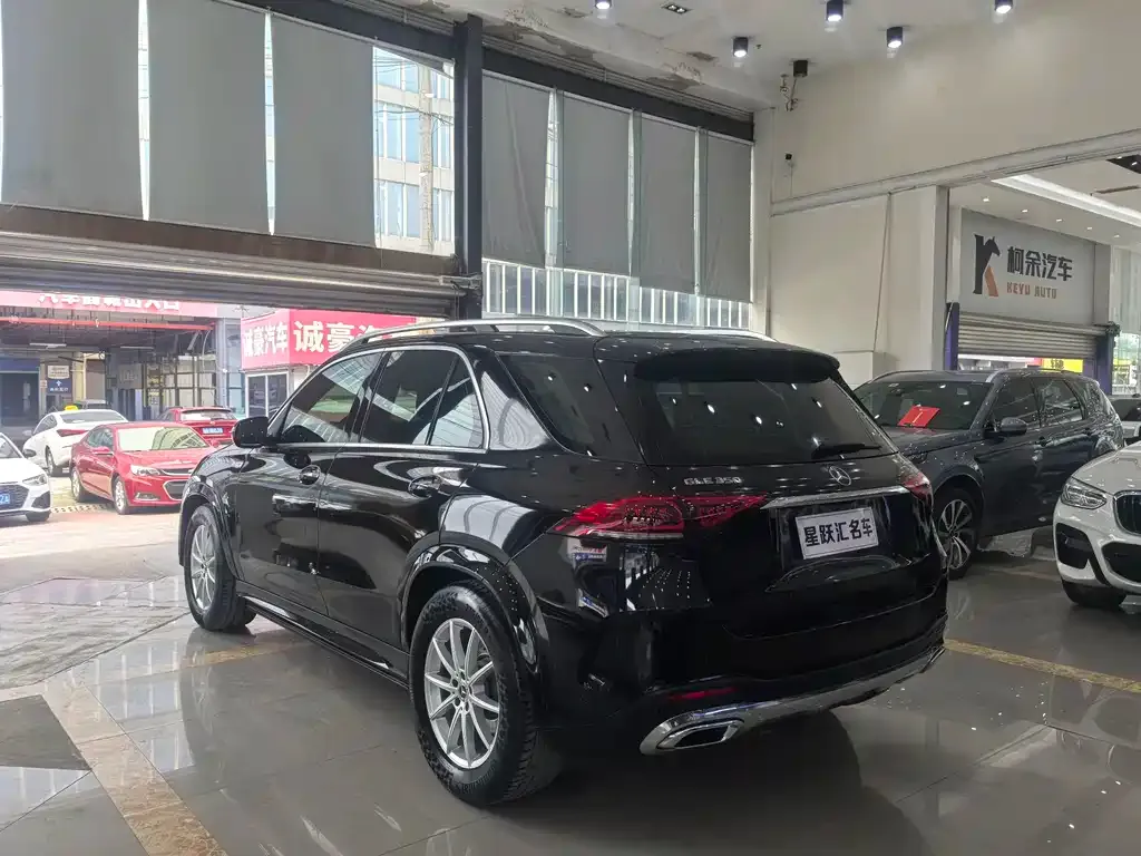 Mercedes-Benz 奔驰GLE(进口) — фото 9