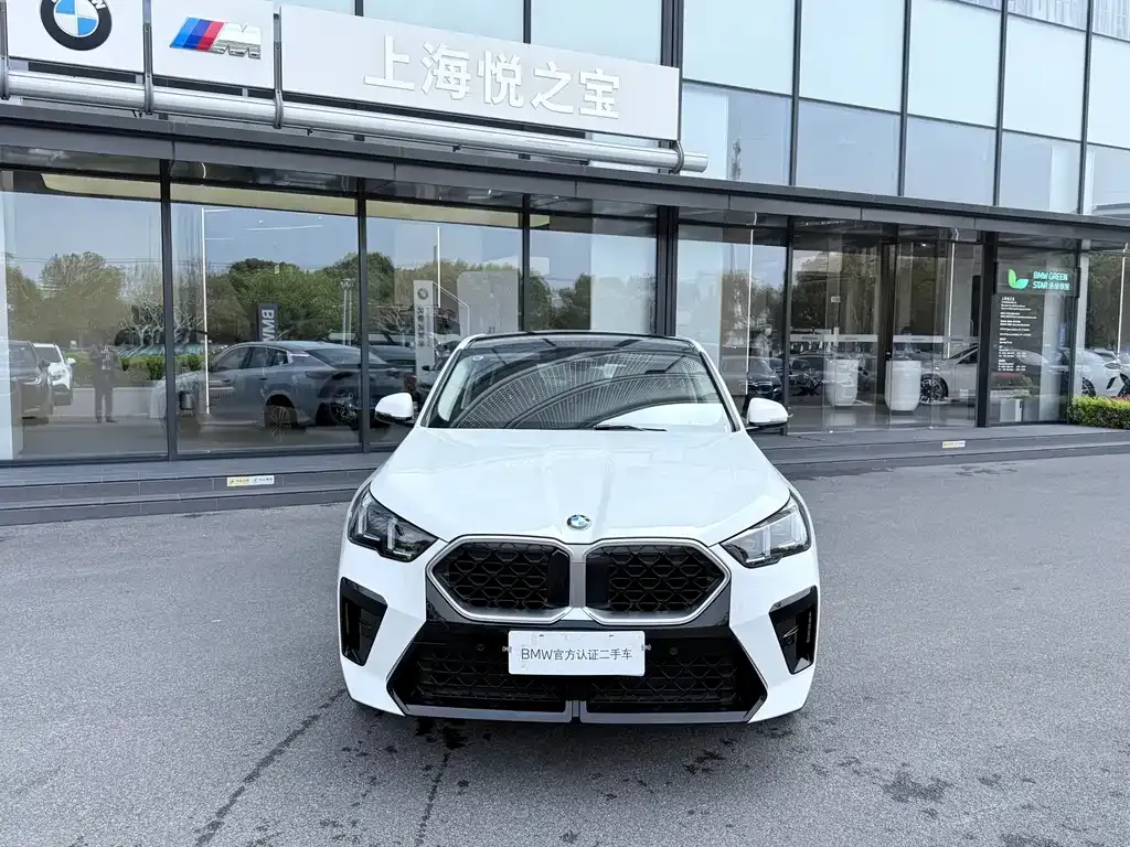 BMW X2 (Import) — фото 5