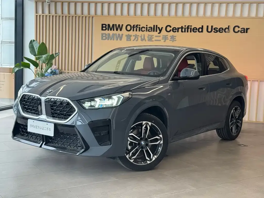 BMW X2 (Import) — фото 1
