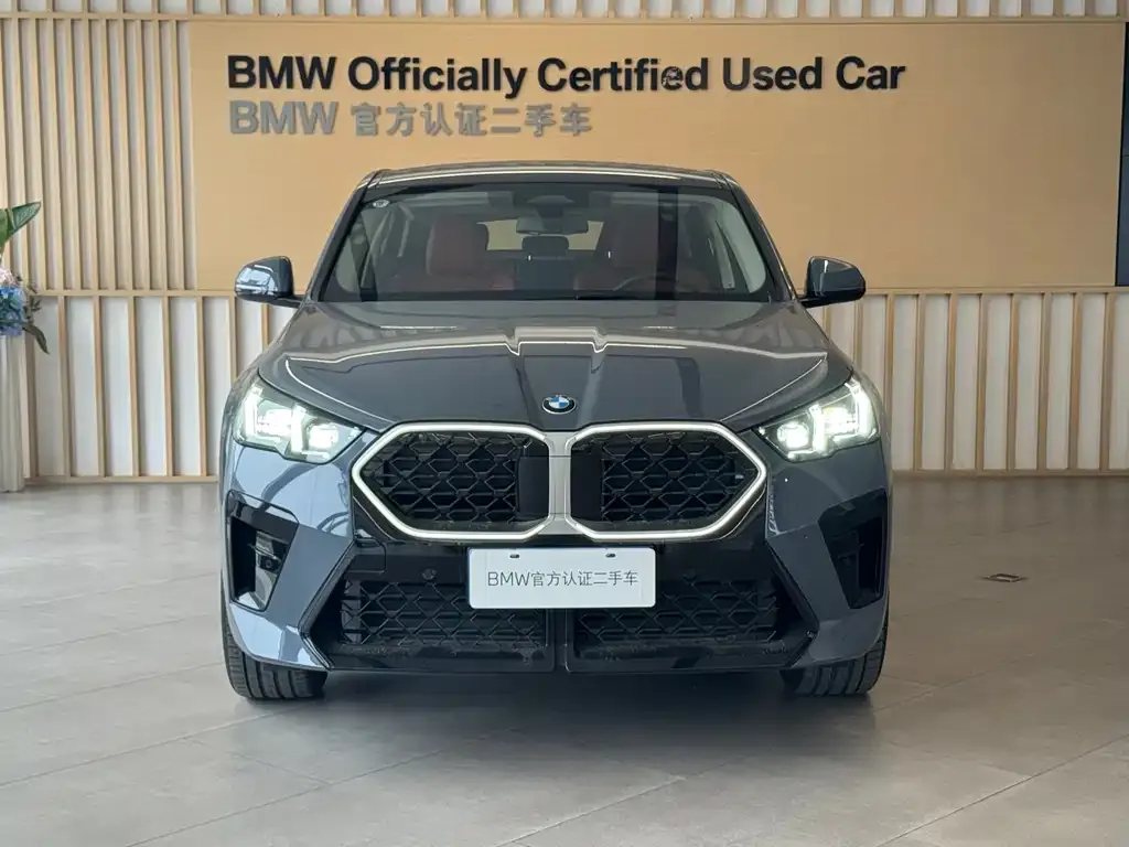 BMW X2 (Import) — фото 4