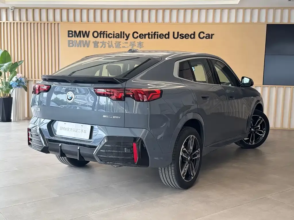BMW X2 (Import) — фото 10