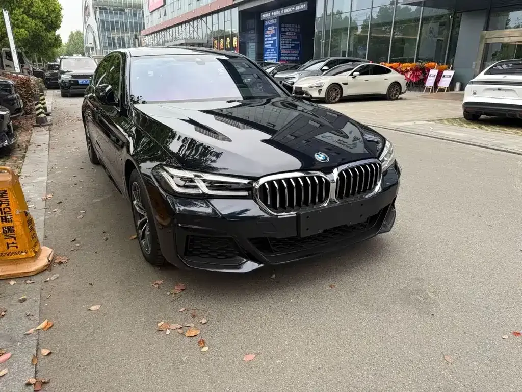BMW 5 Series New Energy — фото 7